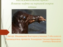 Презентация исследовательского проекта на тему Влияние нефти на перьевой покров птицы (7 класс)