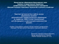 Презентация Творческий проект Лошадка