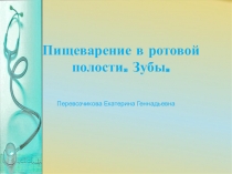 Презентация по биологии Пищеварение в ротовой полости. Зубы.