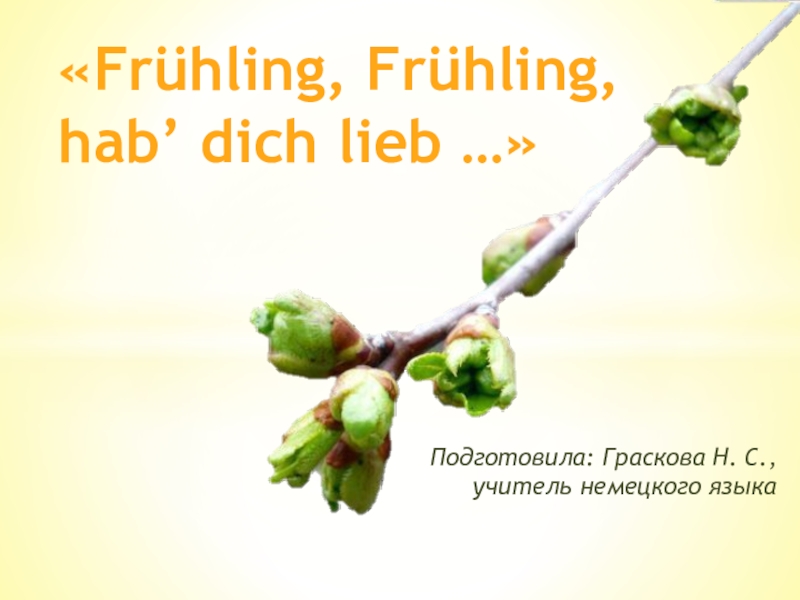 Презентация Презентация по немецкому языку на тему Frühling, Frühling, hab' dich lieb...