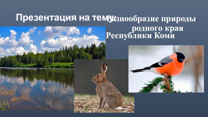 Природа Республики Коми Фото