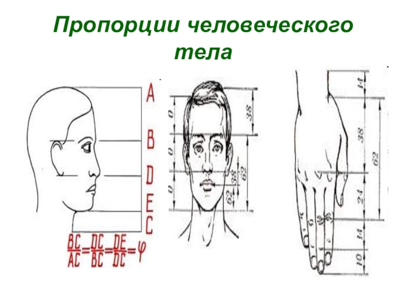 Сохранить пропорции изображения