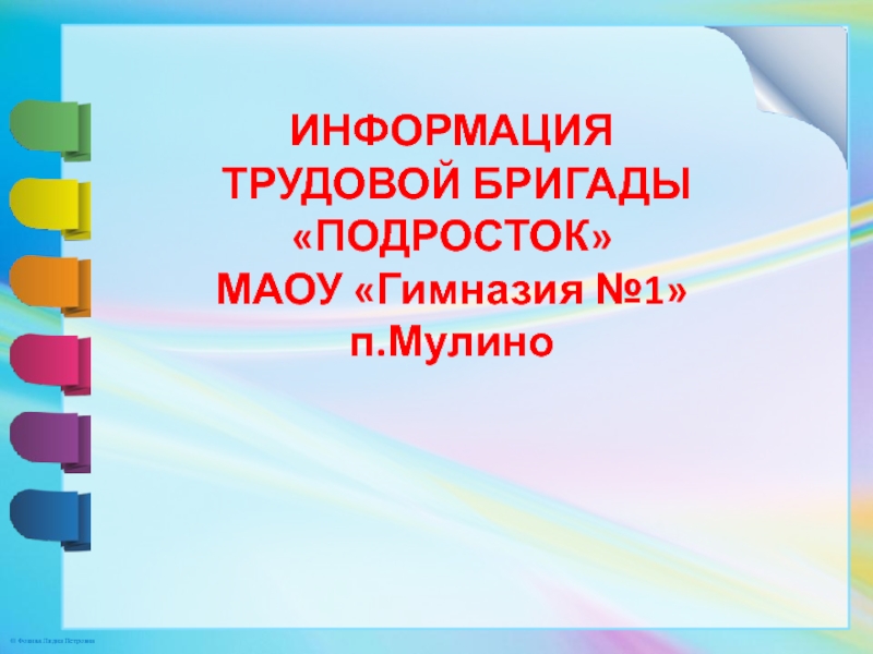 План работы трудовой бригады школьников