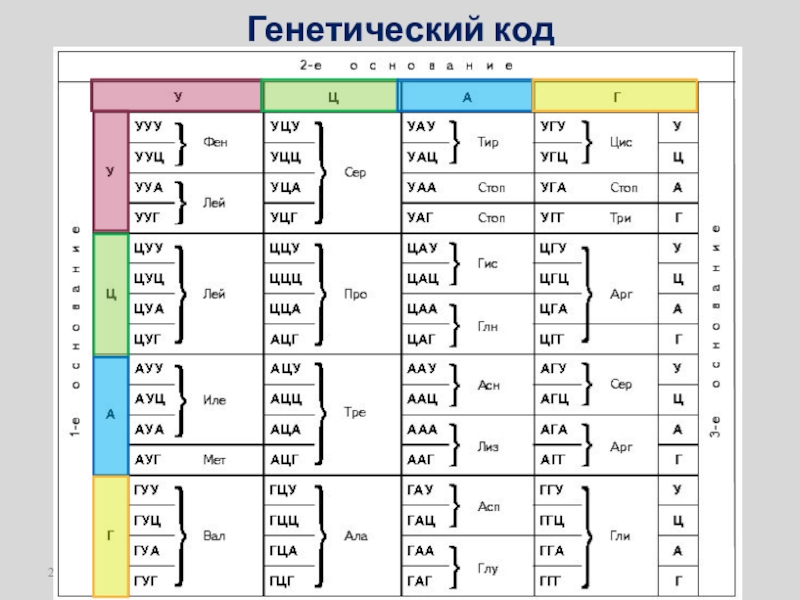 Какой генетический код. Генетический код биология 9 класс таблица. Таблица генетического кода по биологии 9 класс. Генетический код биология 10 класс. Расшифровка генетического кода.