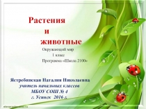Презентация по окружающему миру на тему  Растения и животные (1 класс)