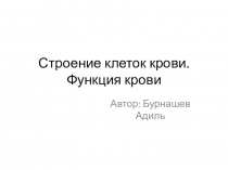 Презентация по биологии на тему Строение клеток крови.Функции крови