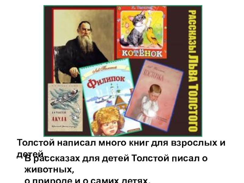 Произведения л толстого 3 класс. Какие книги о животных написал Лев Николаевич толстой. Книги о животных 3 класс Лев Николаевич толстой. Толстой л.н. для детей 3 класса. Лев толстой произведения о животных 3 класс.