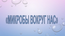 Презентация к исследовательской работе Микробы вокруг нас