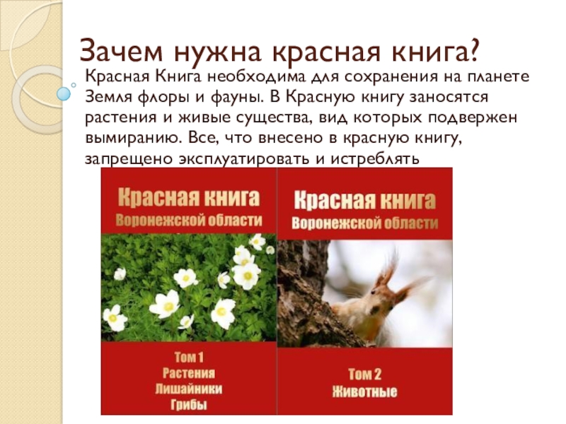 Красная книга воронежской области животные фото