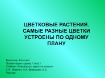 Презентация по биологии цветы