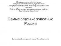 Презентация по биологии на тему Самые опасные животные России