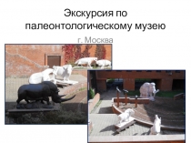 Презентация Экскурсия по Палеонтологическому музею Москвы
