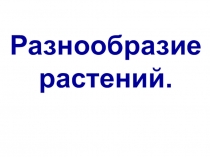 Презентация по окружающему миру на тему Разнообразие растений