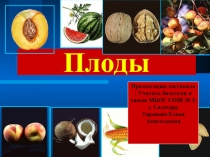 Презентация по биологии Плоды