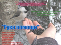 Презентация