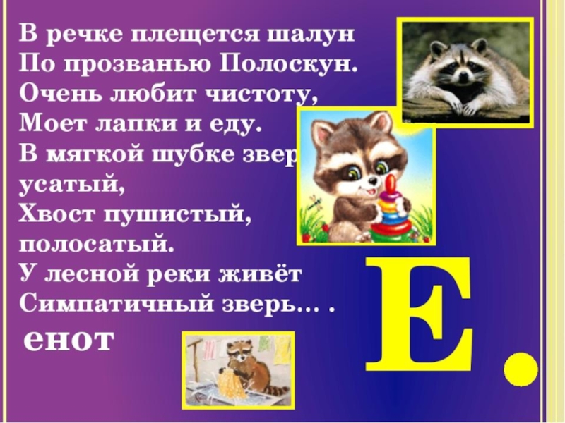 Буква е презентация 1. Буква ё презентация. Проект буква е. Стих про енота. Проект буквы е для первого класса.