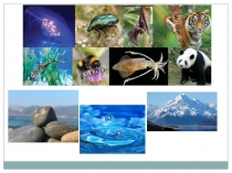 Чем живое отличается от неживого