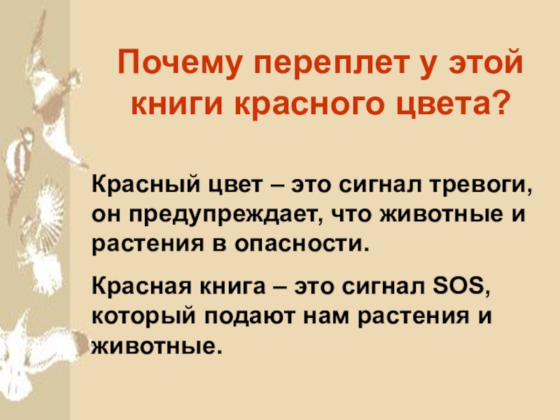 Проект красная книга окружающий 2. Проект красная книга 2 класс окружающий мир. Презентация по окружающему миру 2 класс на тему красная книга. Красная книга 2 класс окружающий мир презентация. Красная книга окружающий мир 2 класс.