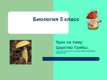 Презентация по биологии 5 класс по теме  Царство Грибы