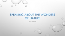 Speaking about the wonders of nature (к учебнику Enjoy English 6 класс М. З. Биболетова)