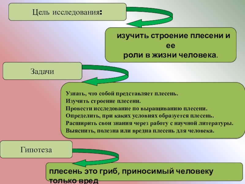 Проект про плесень