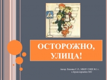 Презентация  Безопасное поведение на дорогах