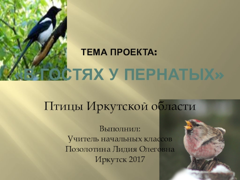 Презентация Презентация: Птицы Иркутской области