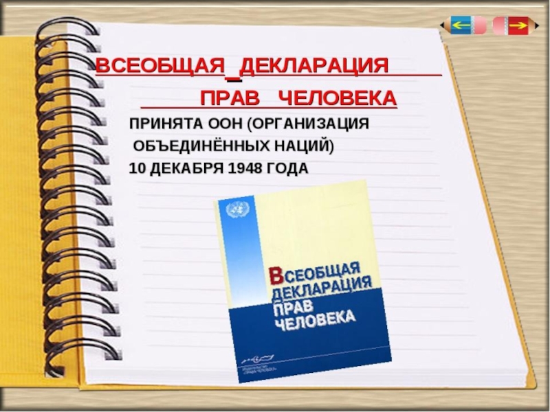 Презентация всеобщая декларация прав человека презентация