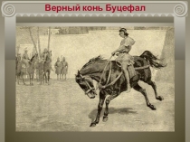 Презентация к уроку Поход Александра Македонского на Восток