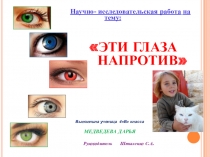 Презентация к исследовательской работе Эти глаза напротив
