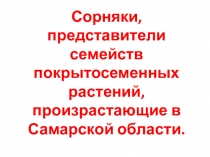 Презентация по биологииСорняки, представители семейств покрытосеменных растений, произрастающие в Самарской области(6 класс)