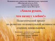 Педагогический проект по развитию познавательной активности старших дошкольников Хвала рукам, что пахнут хлебом!