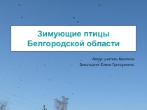 Презентация Зимующие птицы Белгородской области