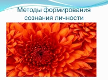 Презентация к семинару по педагогикеМетоды формирования сознания личности