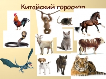 Урок Внешнее строение млекопитающих