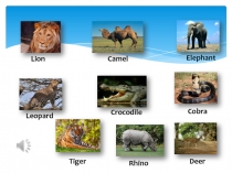 Презентация по английскому языку на тему Удивительные животные (5 класс)