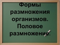 Презентация Формы размножения организмов. Половое размножение