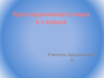 Презентация по окружающему миру