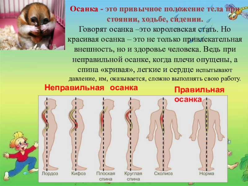 Привычное положение