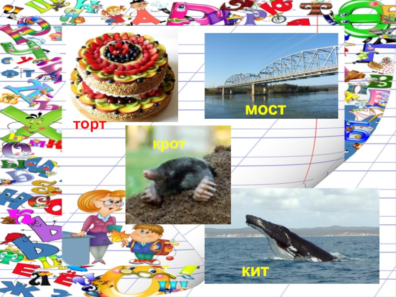 крот европейский обыкновенный. крот рисунок. крот звездонос. крот обыкновенный. кит крот.