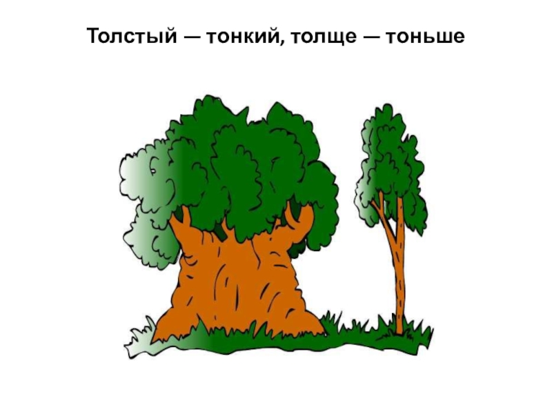 Картинки тонкий толстый