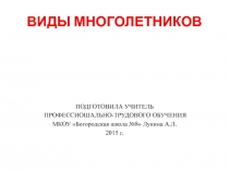 Презентация по цветоводству Виды многолетников