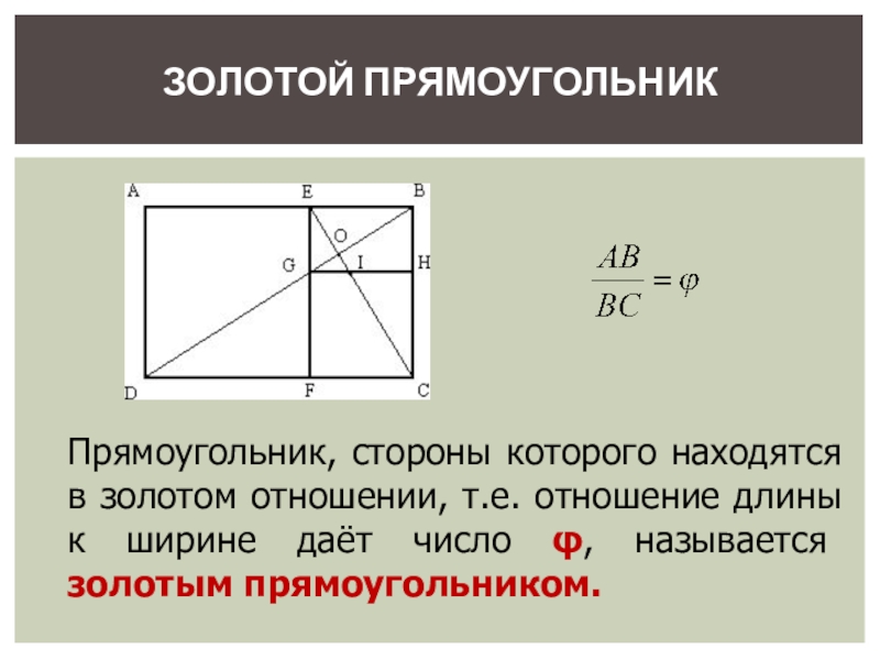 Сечение прямоугольника. Пропорции золотого сечения прямоугольник. Золотое сечение прямоугольника. Золотое сечение соотношение сторон прямоугольника. Золотой прямоугольник золотое сечение.