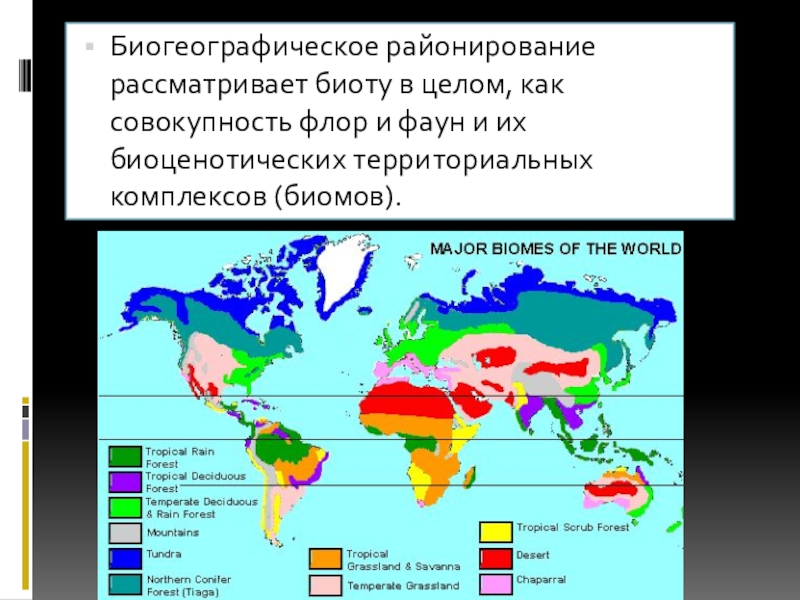 Биомы суши карта