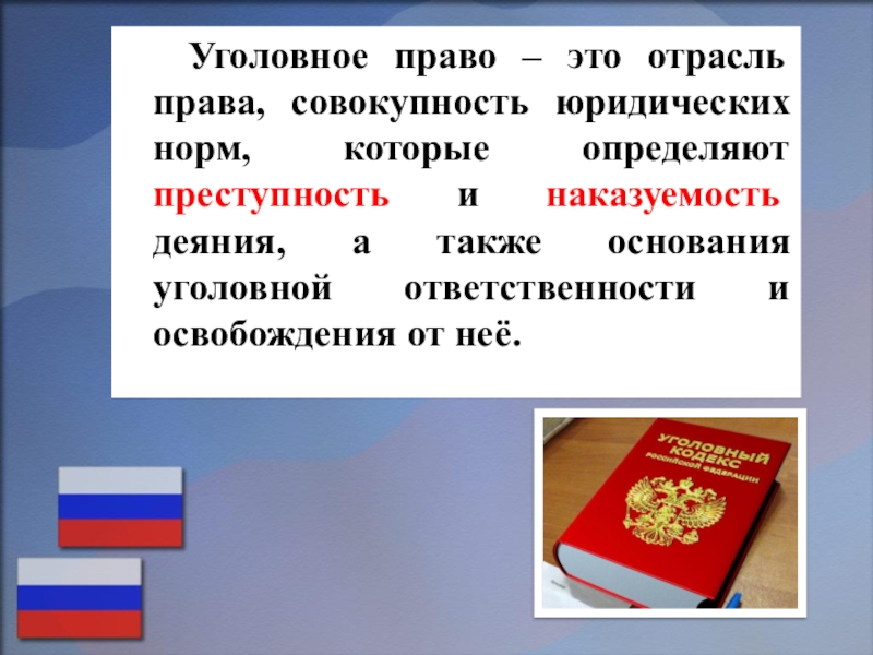 Уголовное право 9 класс презентация фгос