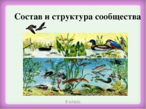 Презентация по биологии 9 класс на тему Состав и структура сообщества