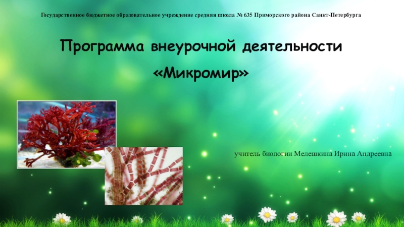 Презентация Презентация по биологии для курса внеурочной деятельности Микромир (5 класс)