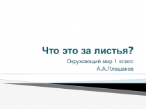 Презентация по Окружающему миру, 1 класс. Тема Что это за листья?