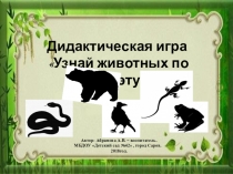 Интерактивная игра Узнай животных по силуэту.