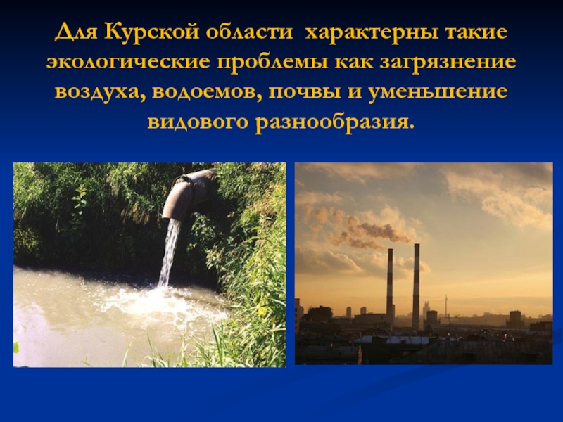 Для Курской области характерны такие экологические проблемы как загрязнение воздуха, водоемов, почвы и уменьшение видового разнообразия.
